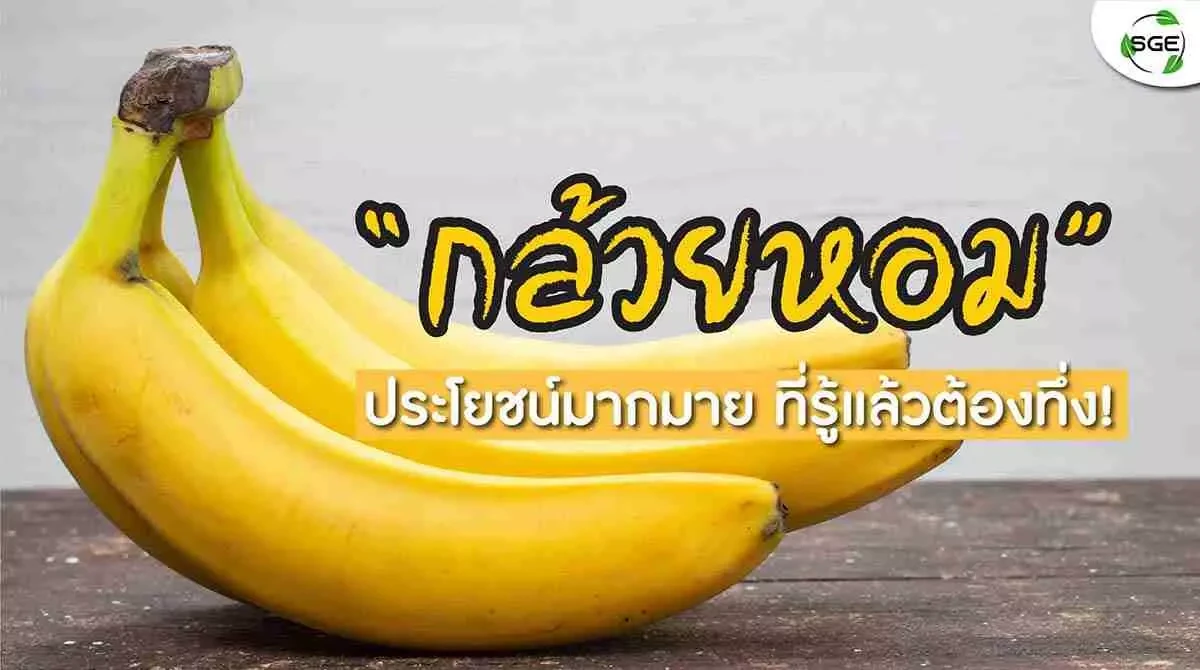ประโยชน์-กล้วยหอม 2021