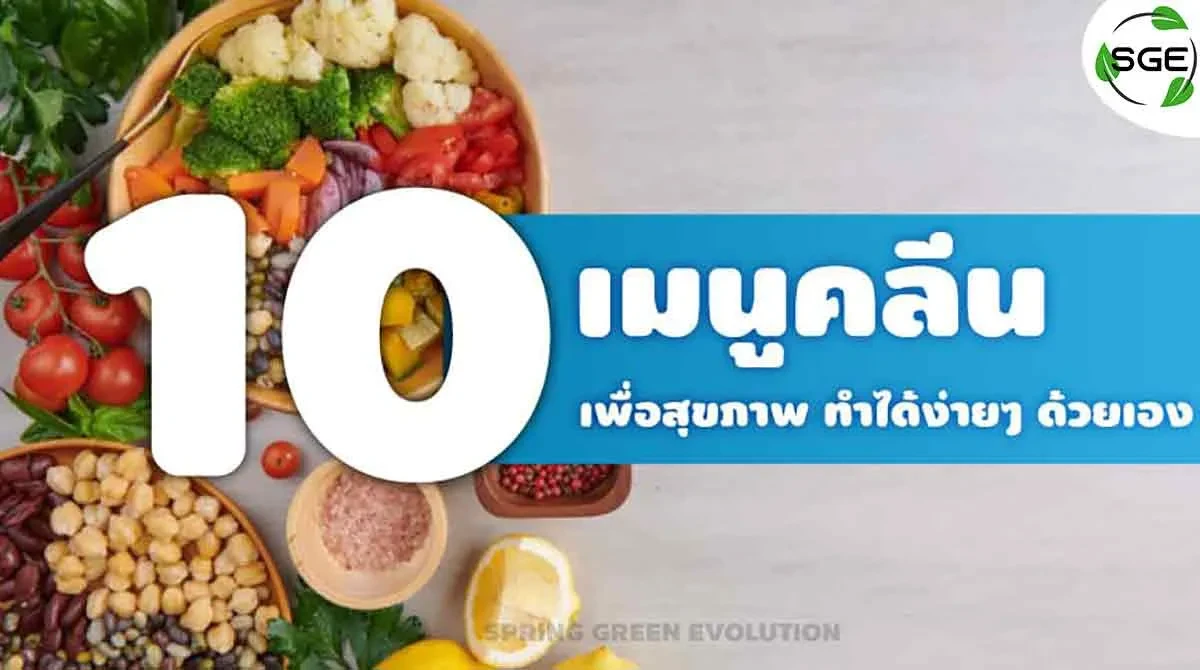 10 เมนูคลีน เพื่อสุขภาพทำได้ง่ายๆ ด้วยเอง - Spring Green Evolution