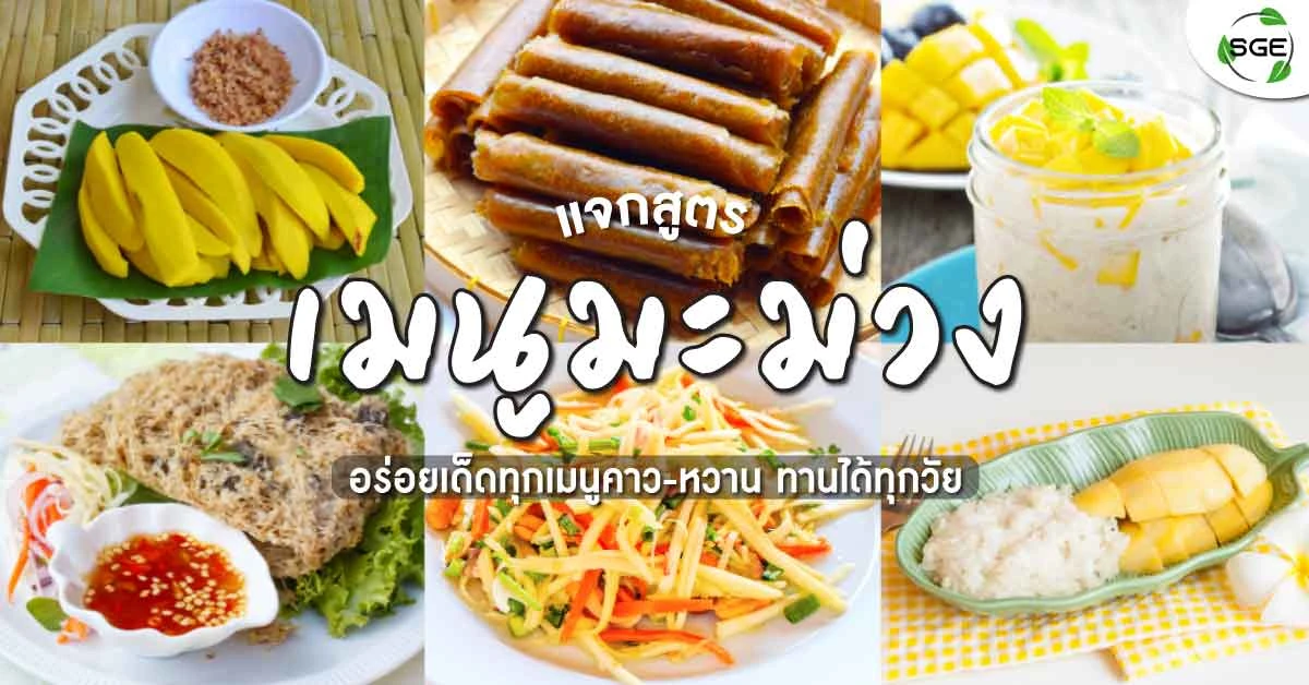 เมนูมะม่วง-mango-menu-cover