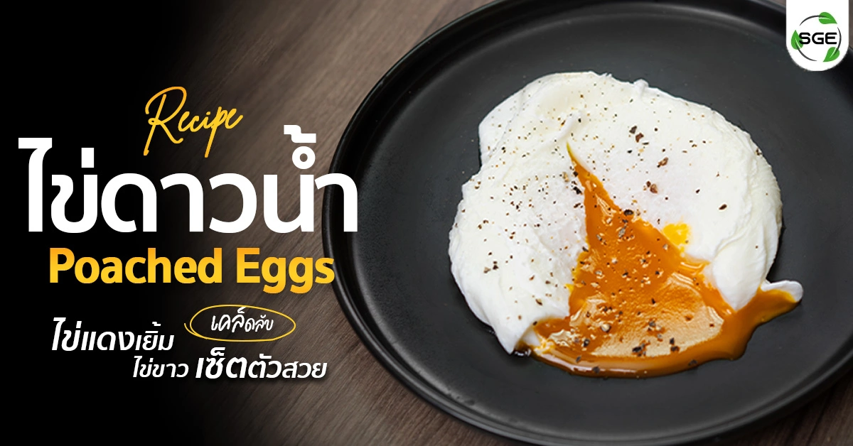 วิธีทำ ไข่ดาวน้ำ (Poach Eggs) ทรงสวย ๆ ทำง่าย ๆ ที่บ้าน