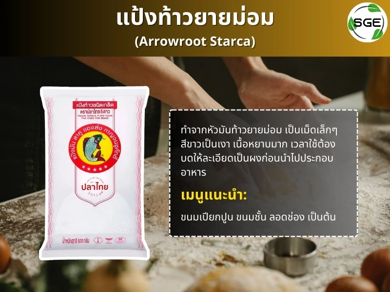 แป้งท้าวยายม่อม-arrowroot-starca