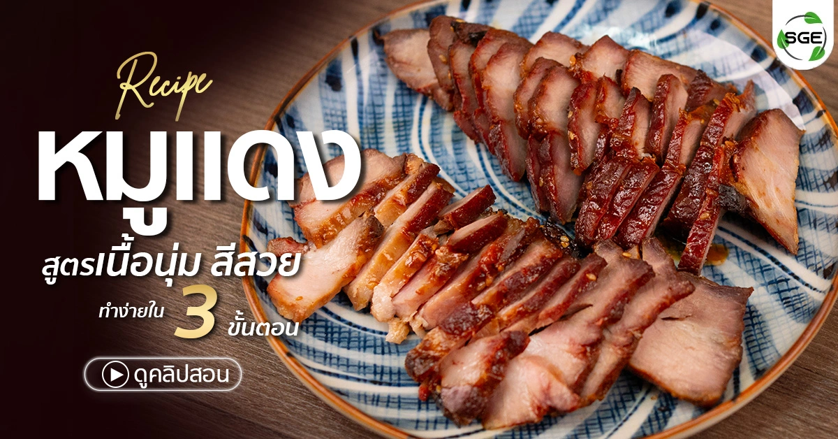 วิธีทำ หมูแดง สูตรทำกินเอง เนื้อนุ่มอร่อยมาก (Video)