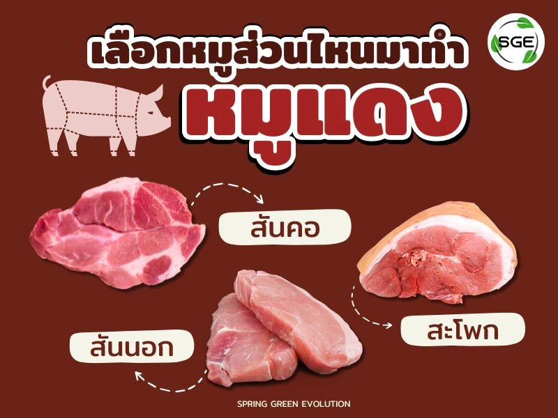 เลือกหมูส่วนไหนมาทำ หมูแดง