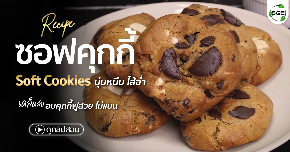 ซอฟคุกกี้ soft-cookies ซอฟคุกกี้ช็อกโกแลตชิพ