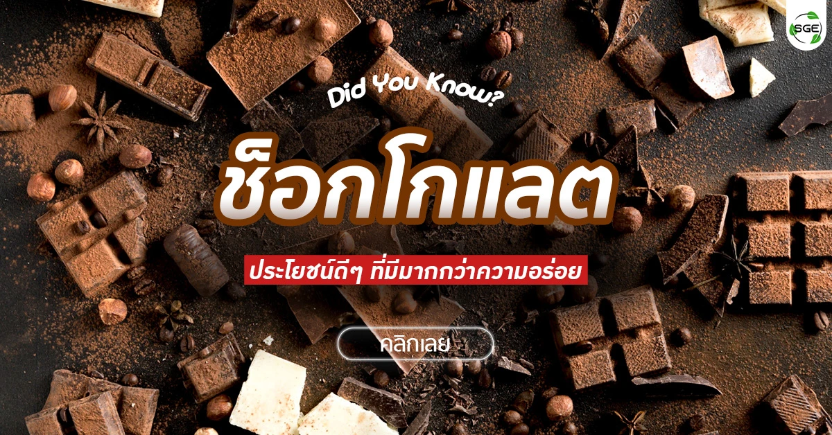 ช็อกโกแลต chocolate