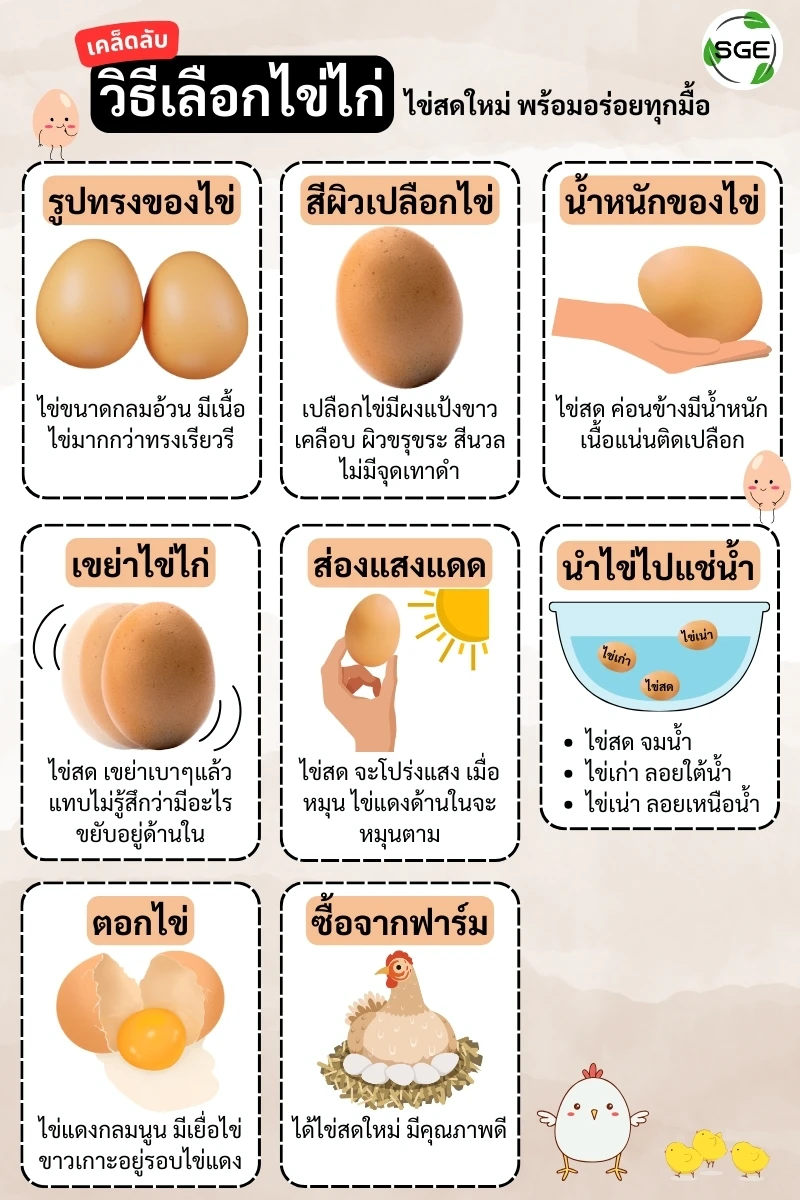 เคล็ดลับ วิธีเลือกไข่ไก่ วิธีเก็บไข่ไก่