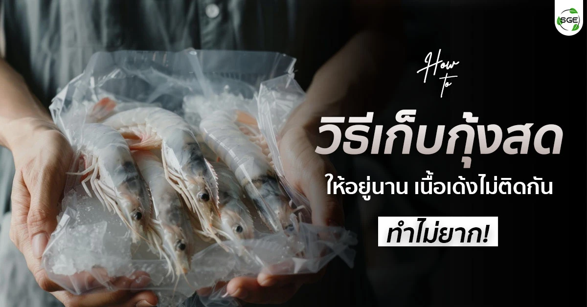 วิธีเก็บกุ้งสด วิธีเก็บกุ้งสดแช่แข็ง