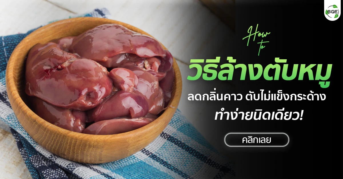 วิธีล้างตับหมู ล้างตับหมู