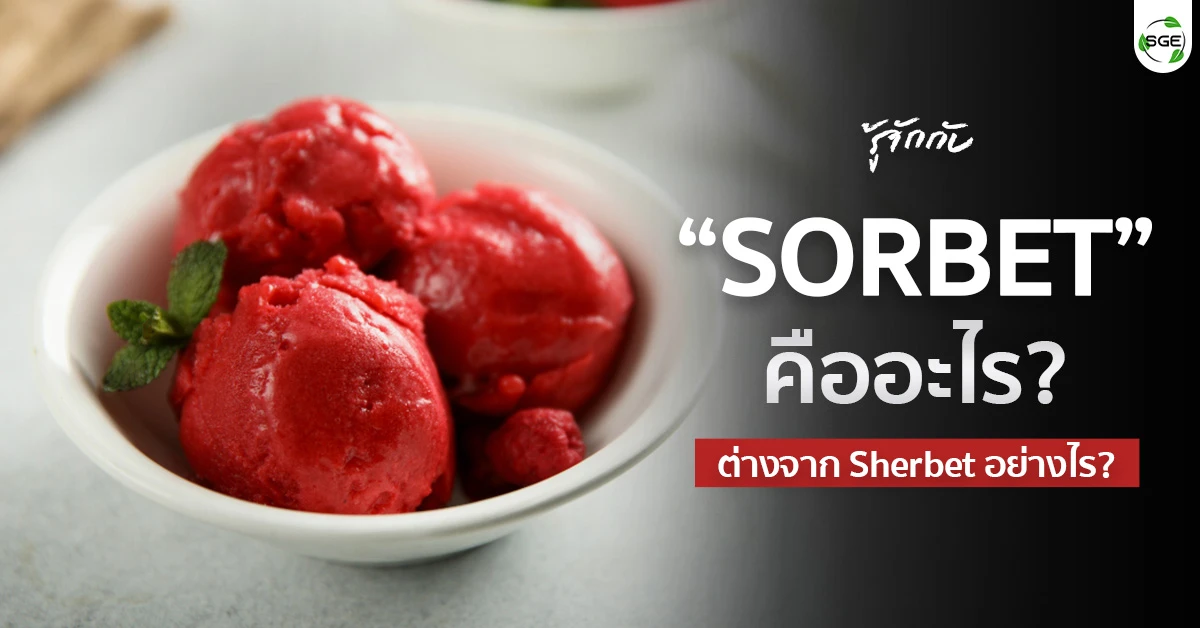 sorbet คือ อะไร