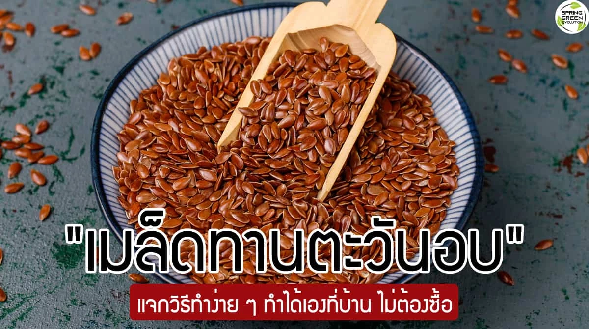 เมล็ดทานตะวันอบ