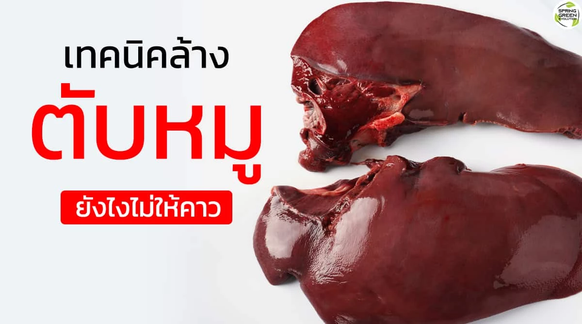 ตับหมู