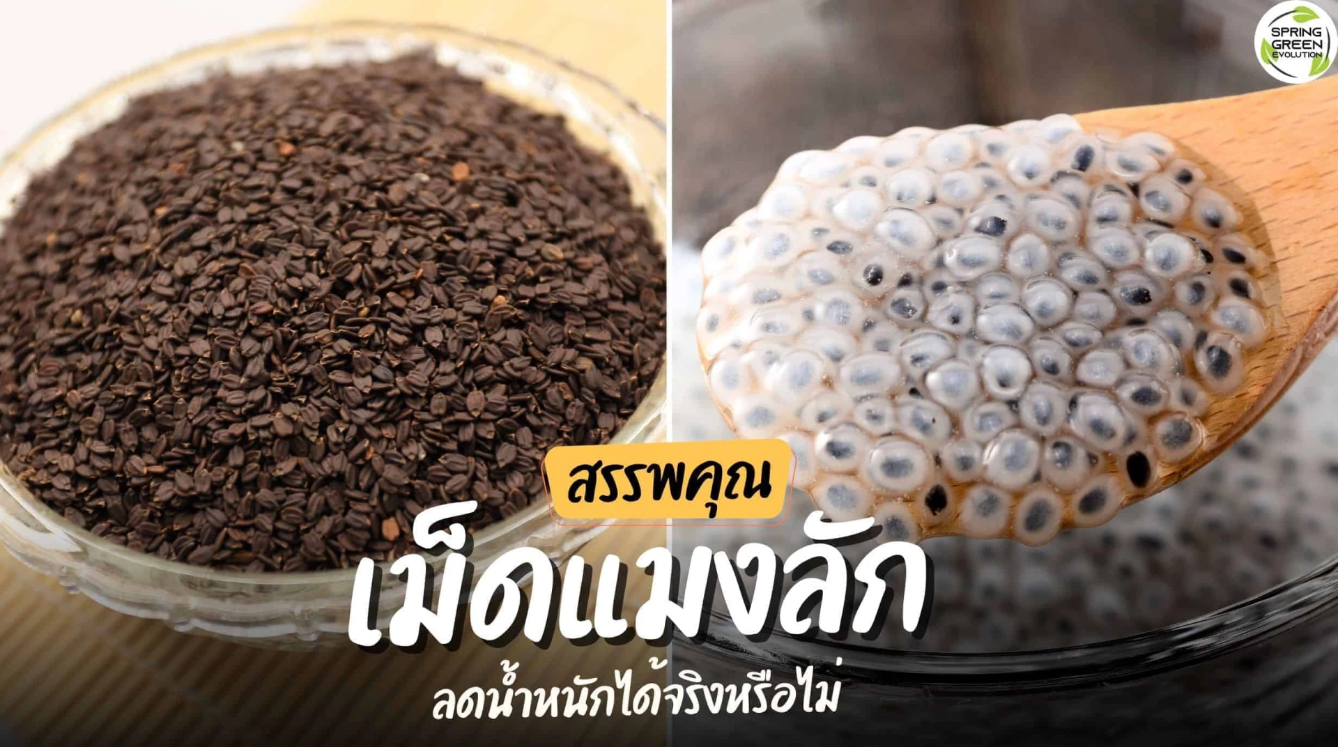 สรรพคุณ เม็ดแมงลัก พร้อมไขข้อสงสัย ลดน้ำหนักได้จริงหรือไม่?